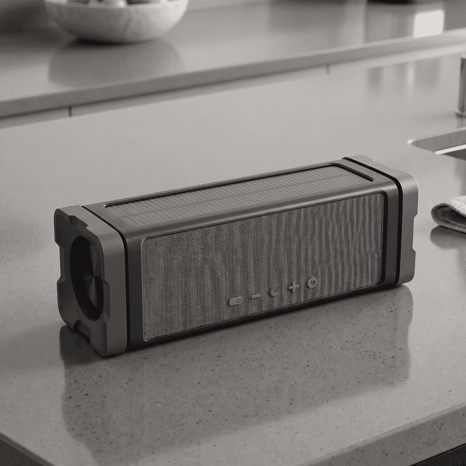 Portable Speaker